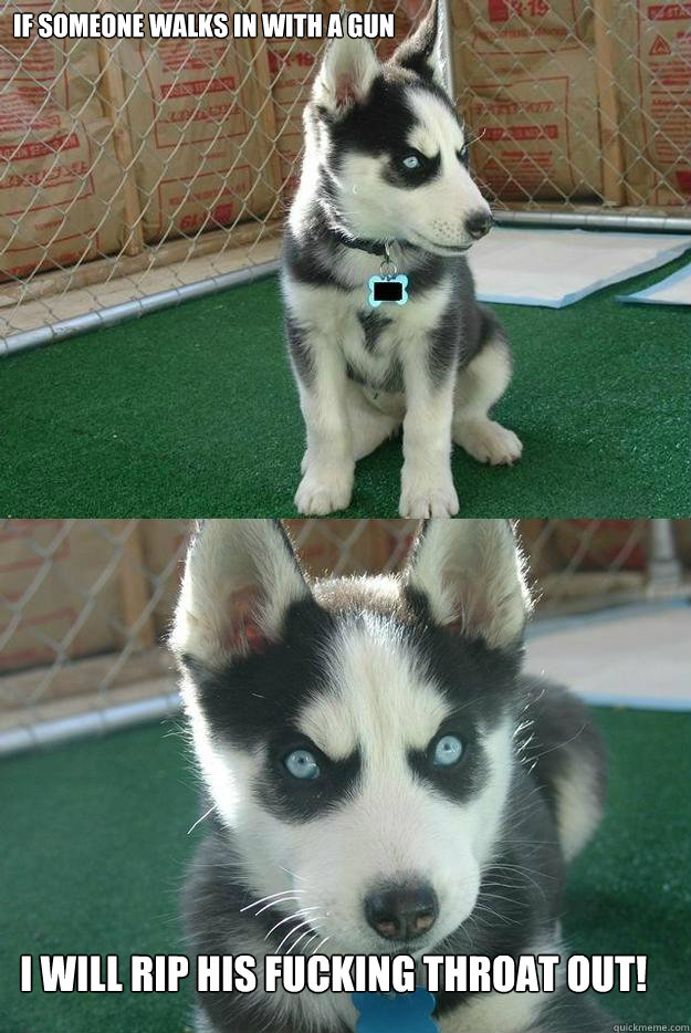 If someone walks in with a gun  I will rip his fucking throat OUT!  Insanity puppy