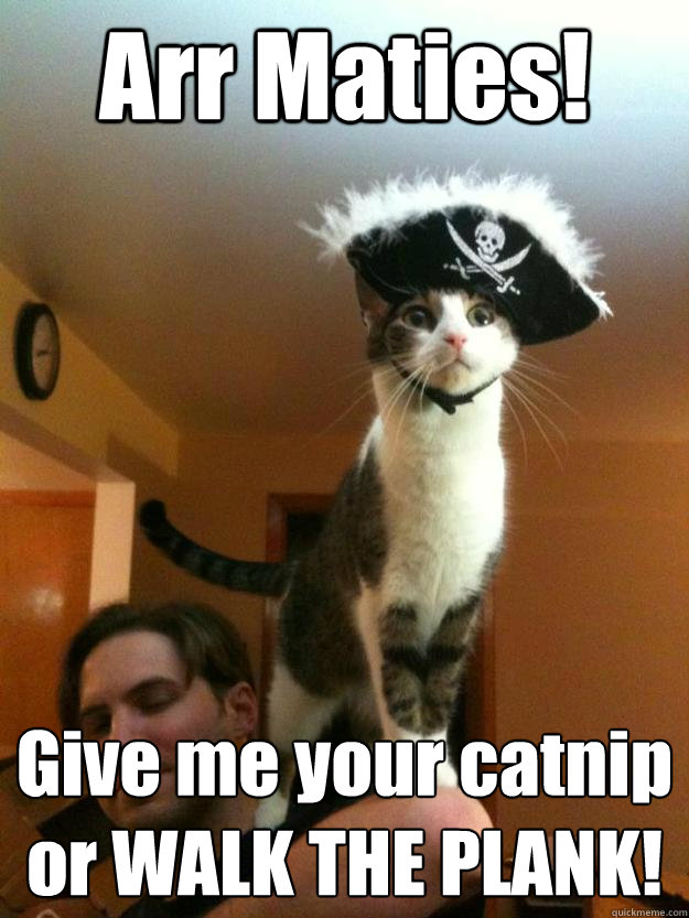 Arr Maties! Give me your catnip or WALK THE PLANK!  