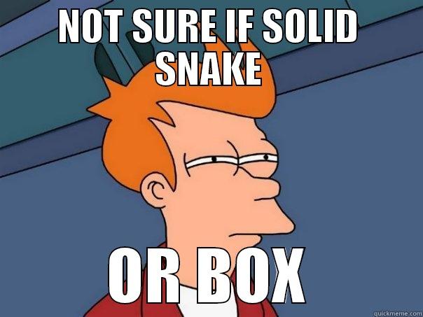 NOT SURE IF SOLID SNAKE OR BOX Futurama Fry