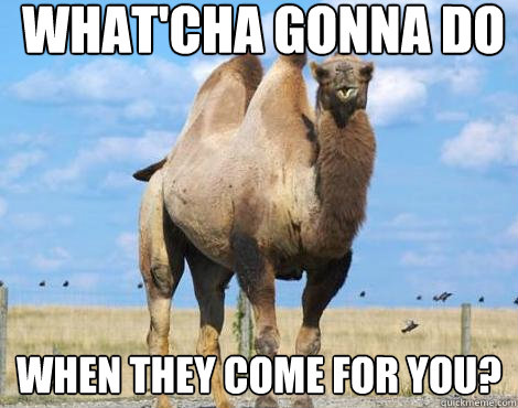 What'cha gonna do WHEN THEY COME FOR YOU?  BUTLER CAMEL