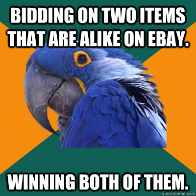Bidding on two items that are alike on Ebay. Winning both of them.   Paranoid Parrot