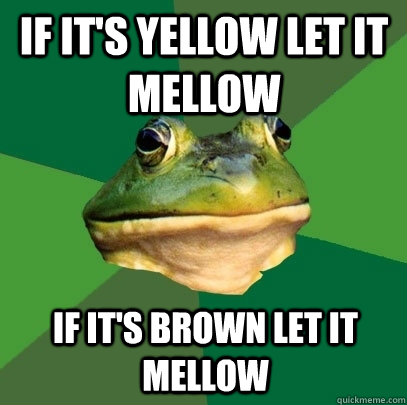 If it's yellow let it mellow If it's brown let it mellow  Foul Bachelor Frog