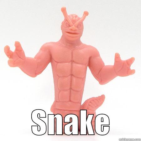   SNAKE Misc