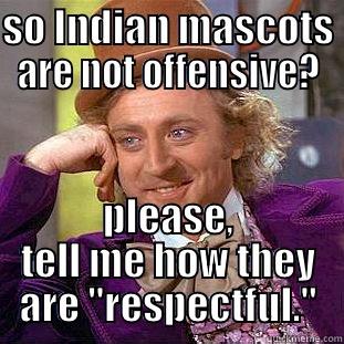 SO INDIAN MASCOTS ARE NOT OFFENSIVE? PLEASE, TELL ME HOW THEY ARE 