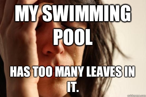 My swimming pool Has too many leaves in it.   First World Problems
