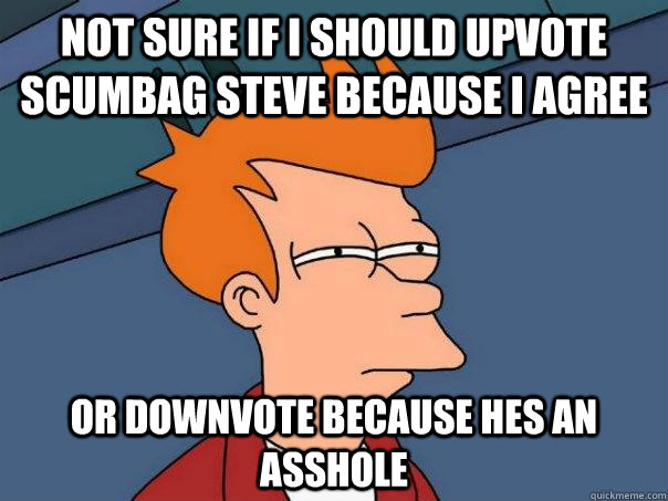 Not sure if I should upvote scumbag steve because I agree Or downvote because Hes an asshole  Futurama Fry