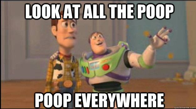 look at all the Poop Poop EVERYWHERE  Buzz and Woody