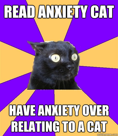 read anxiety cat have anxiety over relating to a cat  Anxiety Cat
