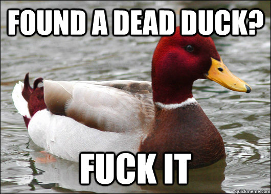Found a dead duck? Fuck it  Malicious Advice Mallard