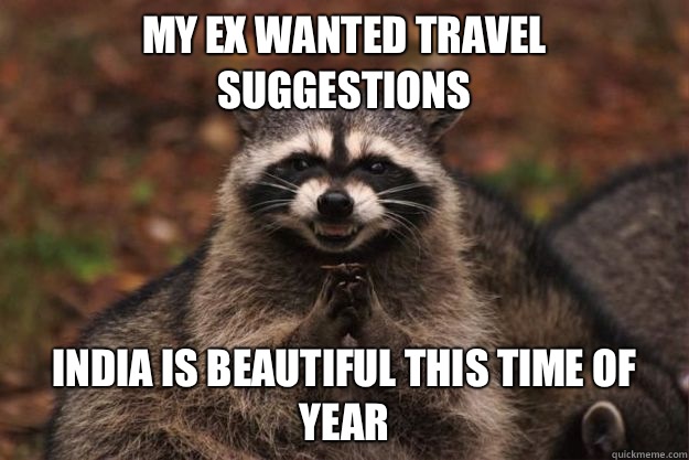 My ex wanted travel suggestions India is beautiful this time of year  Evil Plotting Raccoon
