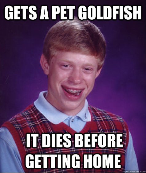 gets a pet goldfish  it dies before getting home  Bad Luck Brian