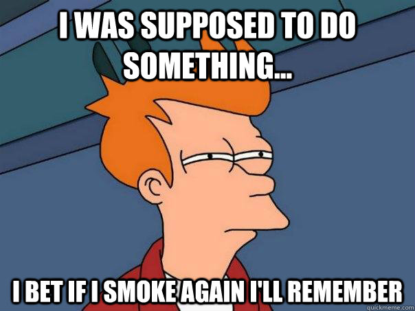 I was supposed to do something... I bet if I smoke again I'll remember - I was supposed to do something... I bet if I smoke again I'll remember  Futurama Fry