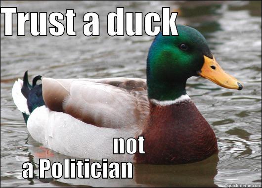 TRUST A DUCK              NOT  A POLITICIAN                         Actual Advice Mallard