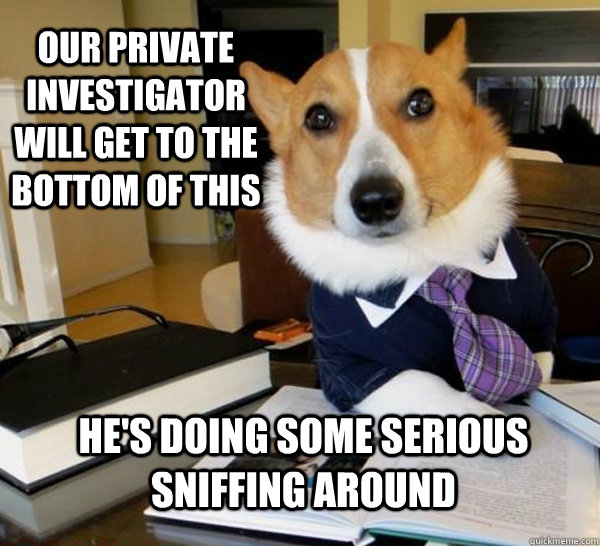 Our private investigator will get to the bottom of this He's doing some serious sniffing around  Lawyer Dog