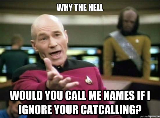 Why the hell would you call me names if I ignore your catcalling?  Annoyed Picard HD