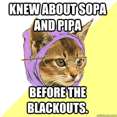 Knew about Sopa and pipa before the blackouts.  Hipster Kitty