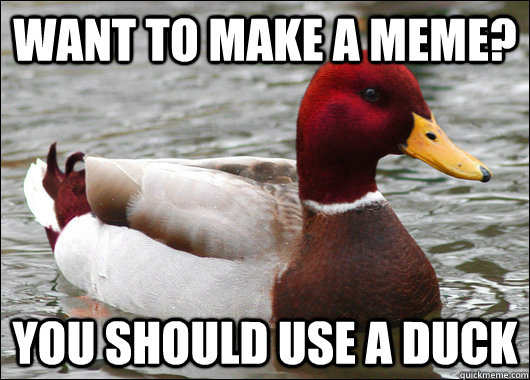 Want to make a meme? You should use a duck  Malicious Advice Mallard