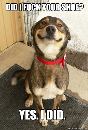 Did I fuck your shoe? Yes. I did.  Good Dog Greg