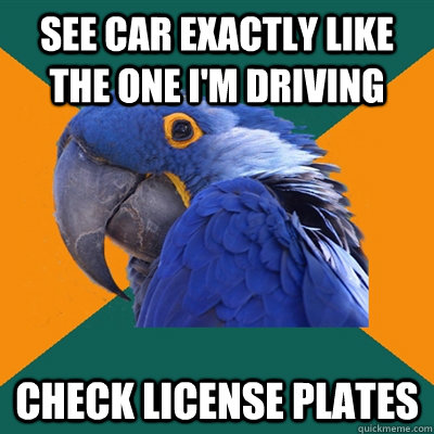 See car exactly like the one I'm driving Check license plates  Paranoid Parrot