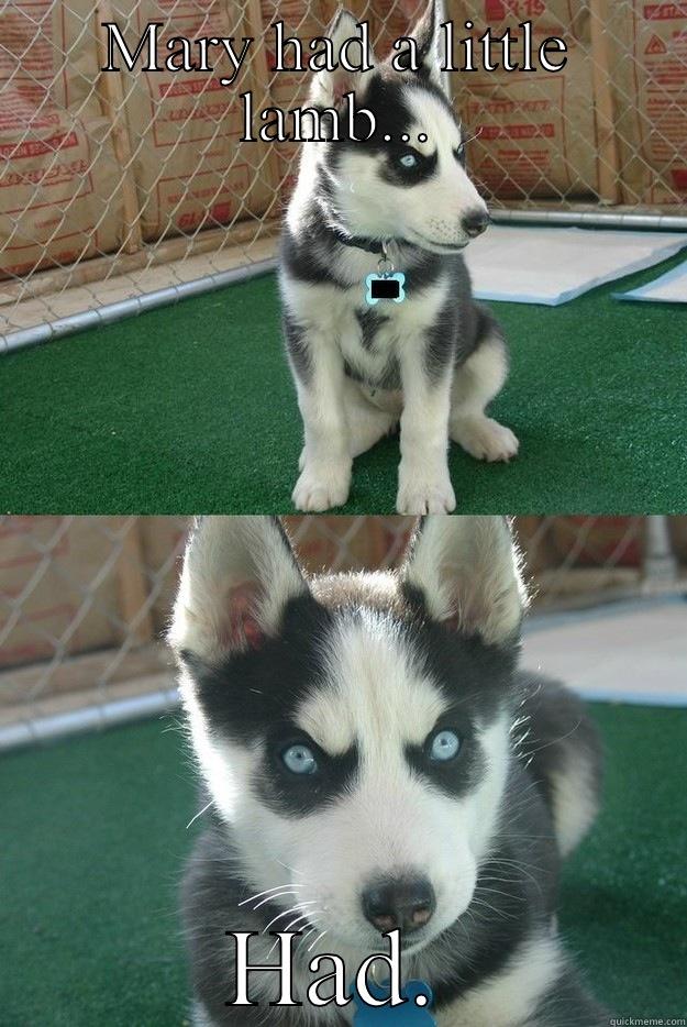 MARY HAD A LITTLE LAMB... HAD. Insanity puppy