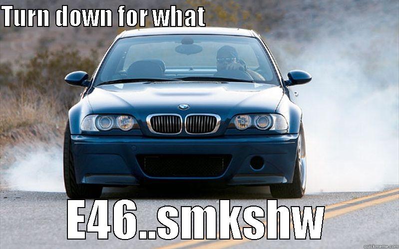 TURN DOWN FOR WHAT                                            E46..SMKSHW Misc
