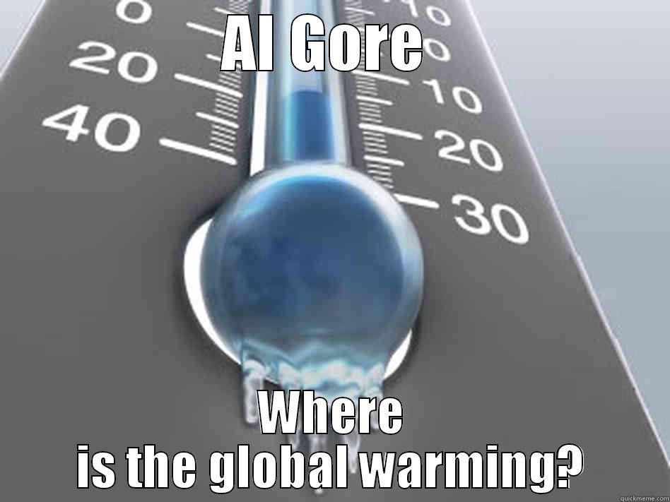 AL GORE  WHERE IS THE GLOBAL WARMING? Misc