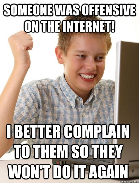 Someone was offensive on the internet! I better complain to them so they won't do it again  First Day on the Internet Kid
