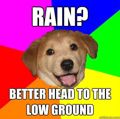 Rain? Better head to the low ground  Advice Dog