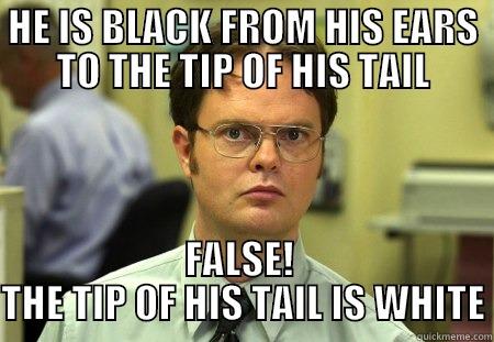 HE IS BLACK FROM HIS EARS TO THE TIP OF HIS TAIL FALSE!  THE TIP OF HIS TAIL IS WHITE Schrute