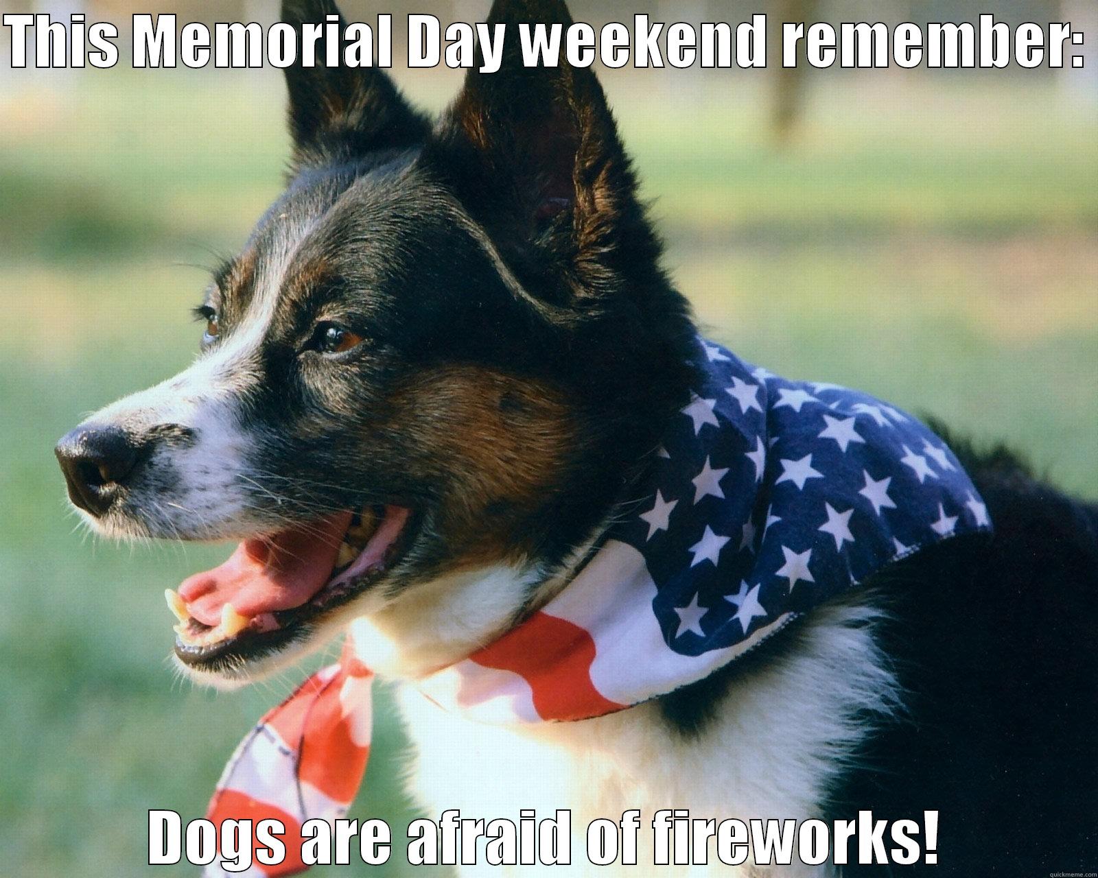 Memorial day dogs - THIS MEMORIAL DAY WEEKEND REMEMBER:  DOGS ARE AFRAID OF FIREWORKS! Misc
