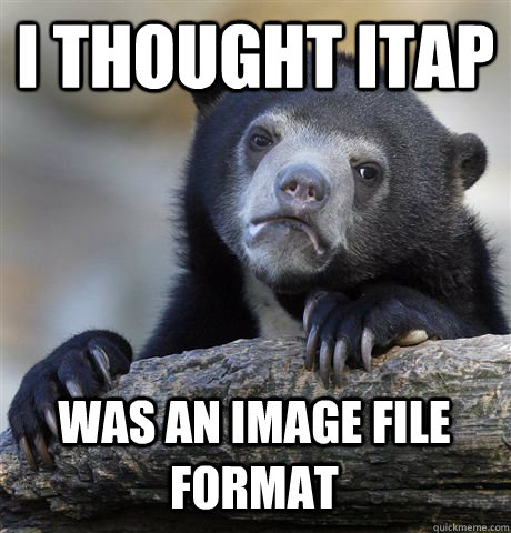 I THOUGHT ITAP WAS AN IMAGE FILE FORMAT  Confession Bear