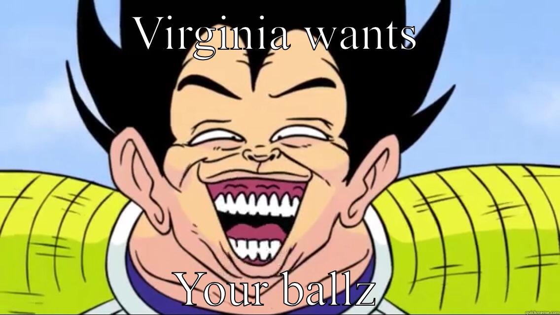 VIRGINIA WANTS YOUR BALLZ Misc