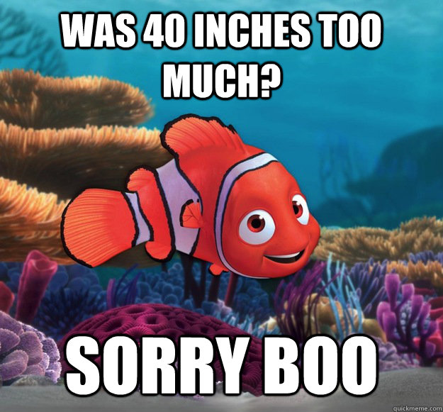 was 40 inches too much? sorry boo - was 40 inches too much? sorry boo  nemo