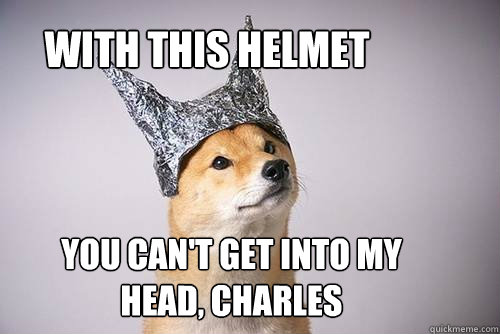 With this helmet You can't get into my head, Charles - With this helmet You can't get into my head, Charles  Tin-Foil Dog