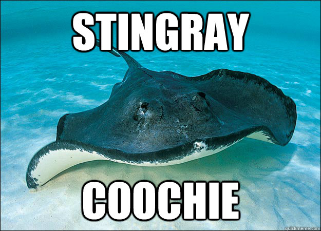 stingray coochie  Stingray coochie