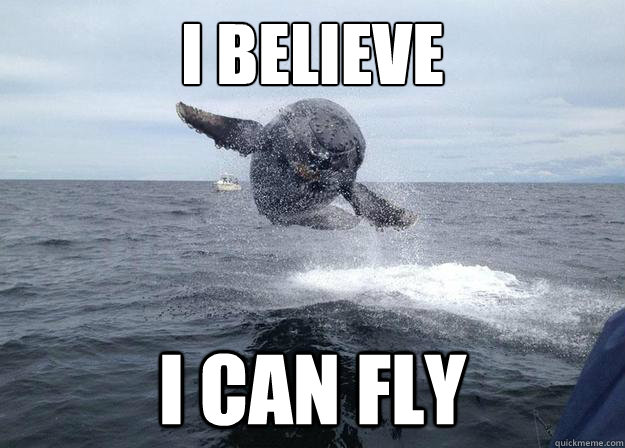 I BELIEVE i can fly - I BELIEVE i can fly  flying whale