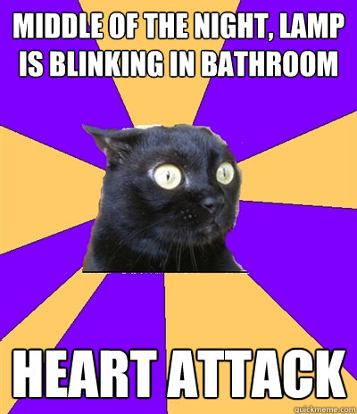 middle of the night, lamp is blinking in bathroom heart attack  Anxiety Cat