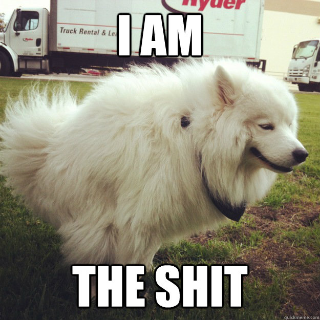i am THE SHIT  