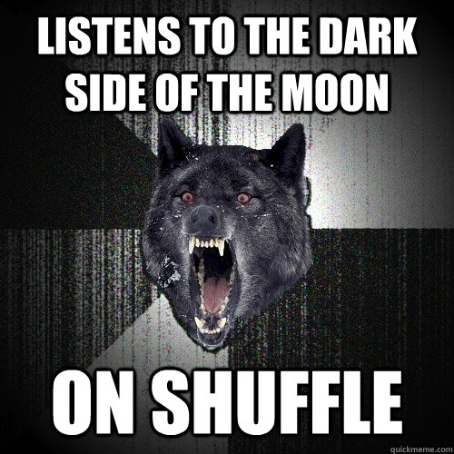 listens to the dark side of the moon on shuffle - listens to the dark side of the moon on shuffle  Insanity Wolf