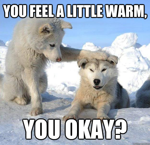 You feel a little warm, You okay?  Caring Husky