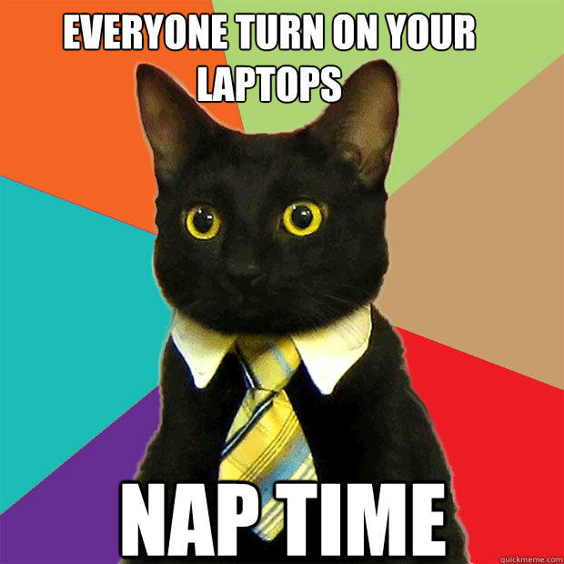 Everyone turn on your laptops nap time  Business Cat