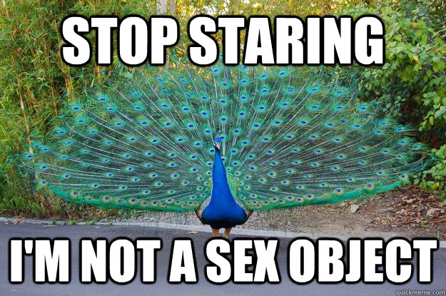 stop staring I'm not a sex object - stop staring I'm not a sex object  Misc