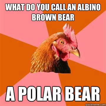 What do you call an albino brown bear a polar bear  Anti-Joke Chicken