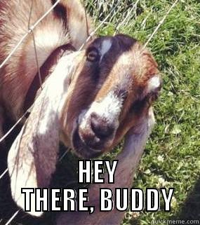 sød lille ged -  HEY THERE, BUDDY Misc