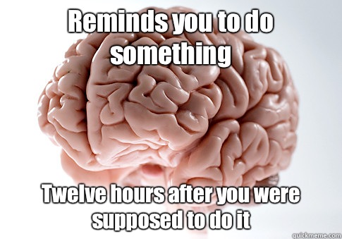 Reminds you to do something Twelve hours after you were supposed to do it  Scumbag Brain