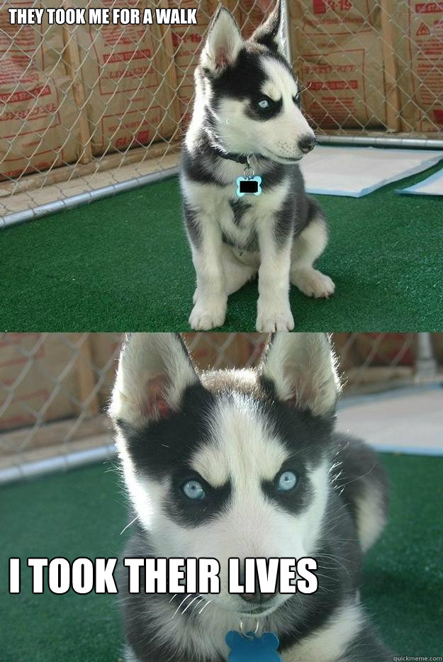 They took me for a walk i took their lives  Insanity puppy