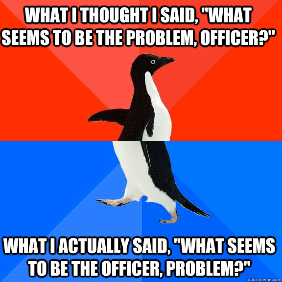 what i thought i said, 