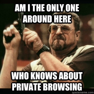 Am i the only one around here who knows about private browsing  Am I The Only One Round Here