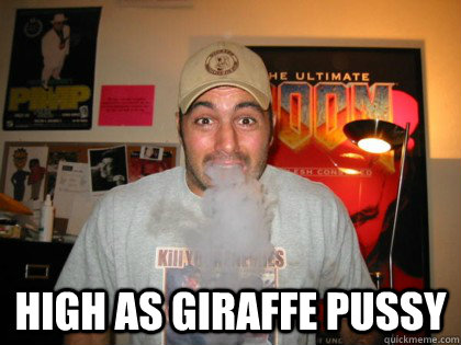  High as giraffe pussy  