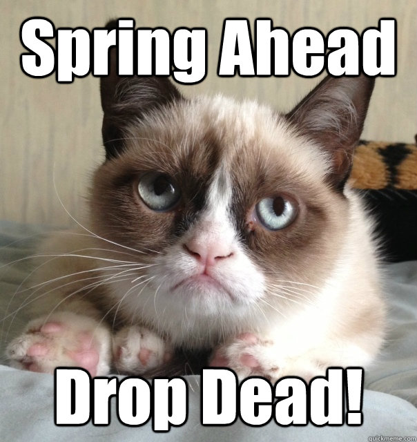 Spring Ahead Drop Dead! - Spring Ahead Drop Dead!  Misc